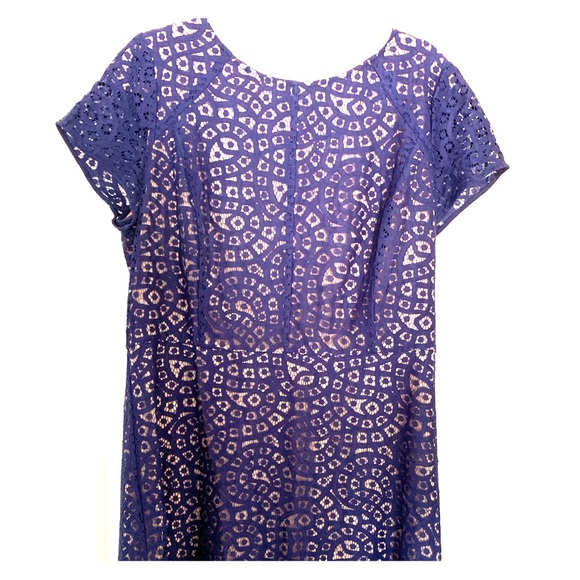 Loft Lace Dress with Shell - Picture 1 of 4